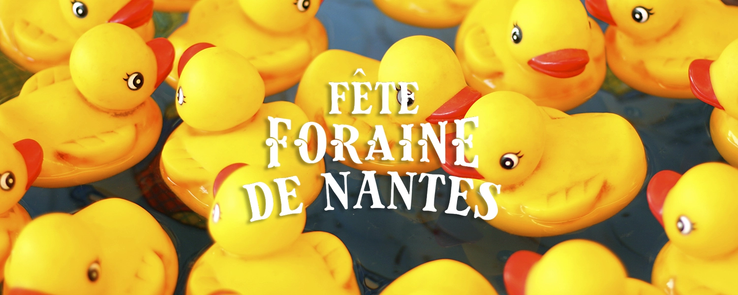 FFN_header01_1500x600